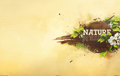 一键备份还原的ddos攻击